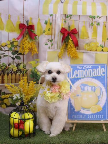 20240427うみちゃん